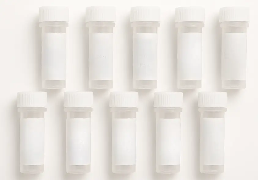 Human GLP2R Protein Lysate 20ug