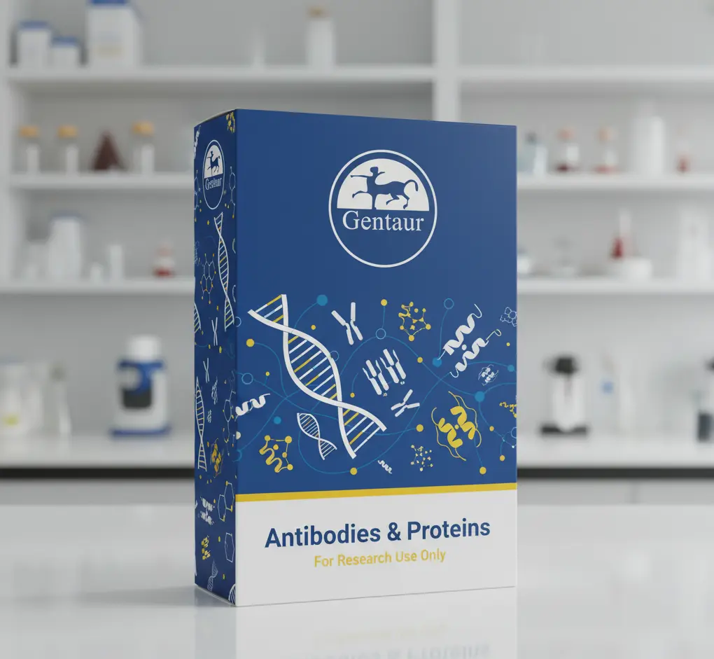  Rabbit anti-EBOV VLP antiserum - 250 uL