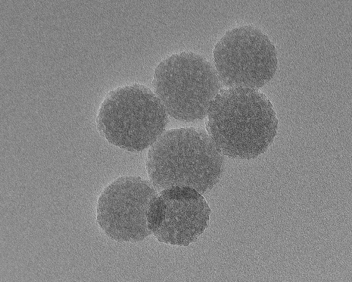 Ni-NTA Silica Particles, 50 um