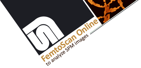 Femtoscan Online.